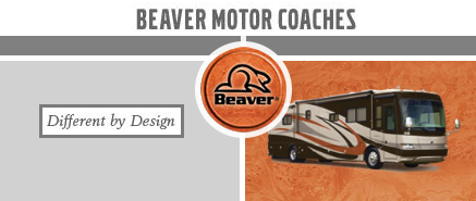 Beaver