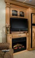 Entertainment Center & Fireplace